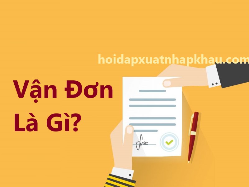 Vận đơn Là Gì? Phân biệt các loại vận đơn